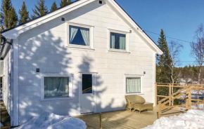 Awesome Home In Rauland With Wifi
